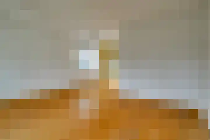Het Gangwerk 40 Hoorn thumbnail 8