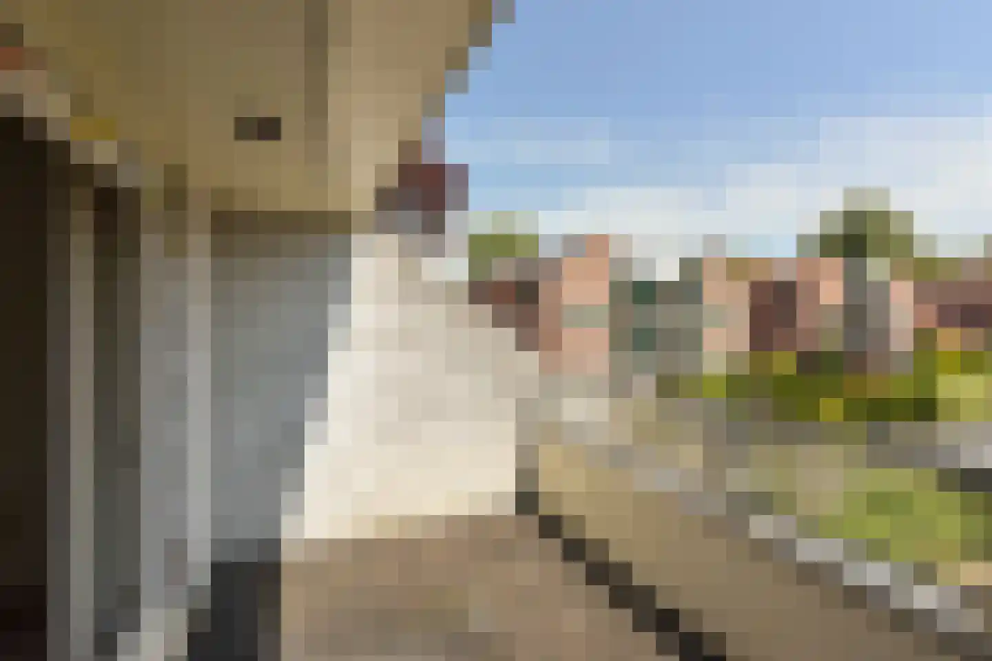 Het Gangwerk 49 Hoorn thumbnail 26