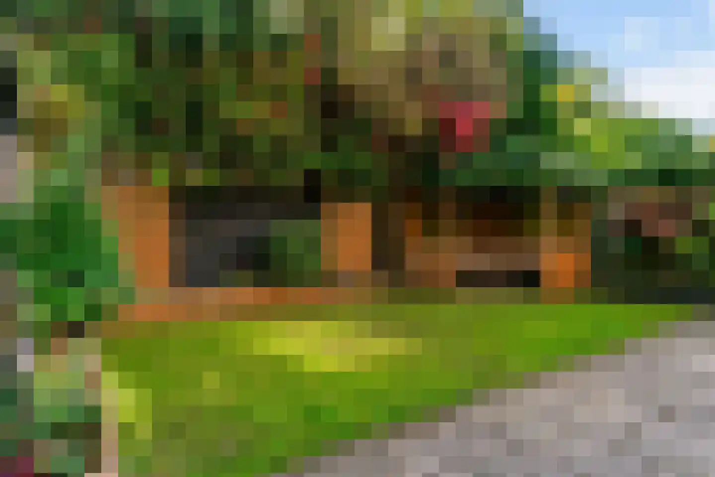 Het Gangwerk 56 Hoorn thumbnail 32