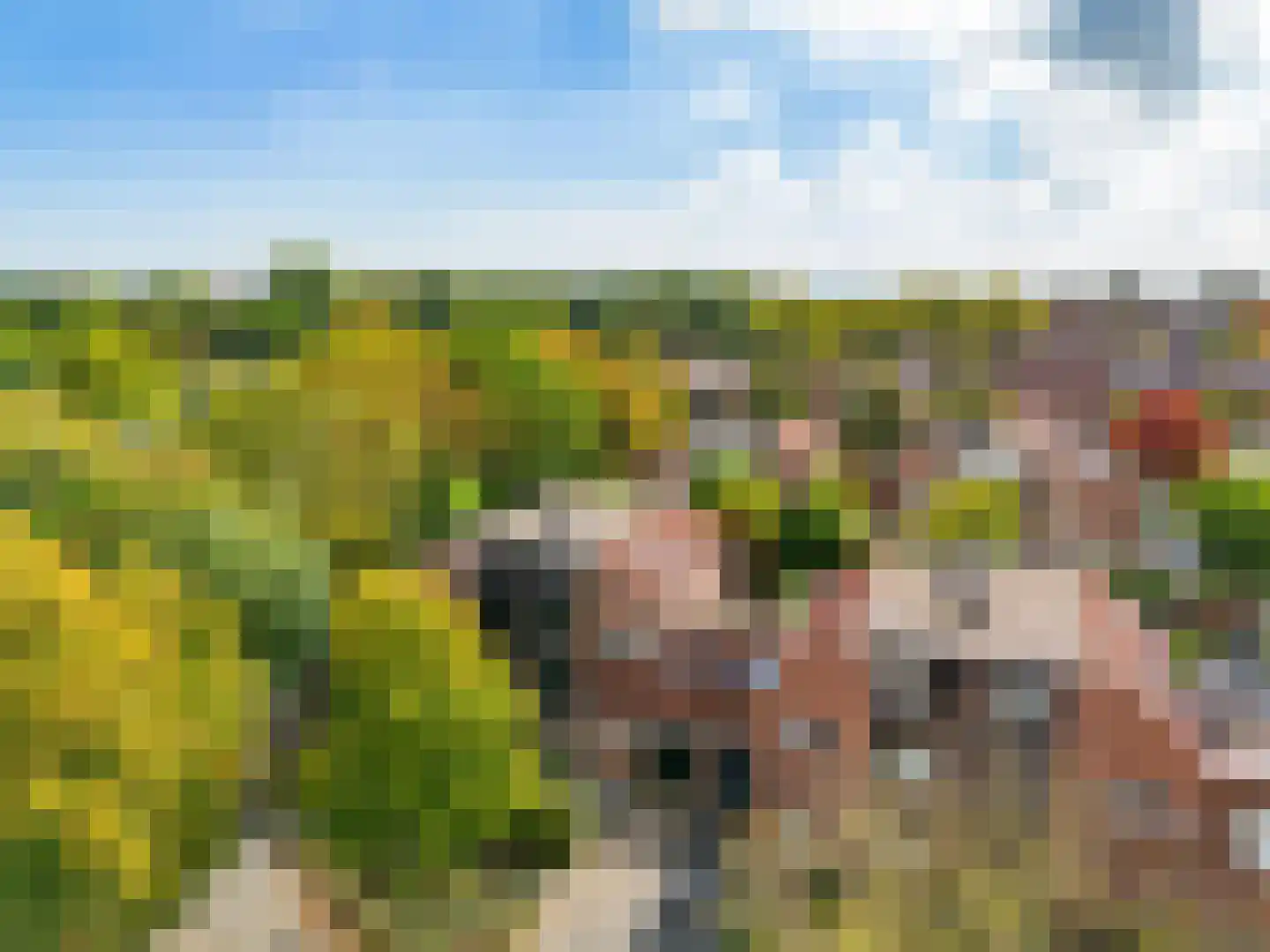 Het Gangwerk 56 Hoorn thumbnail 37