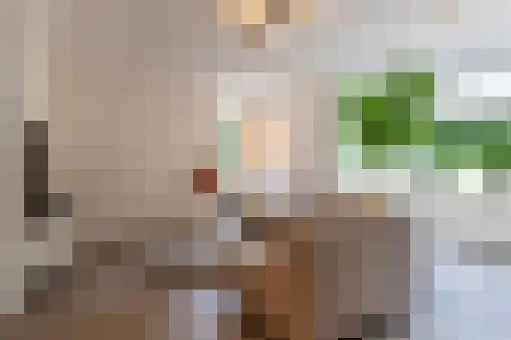 Het Garnizoen 3 Steenwijk thumbnail 10