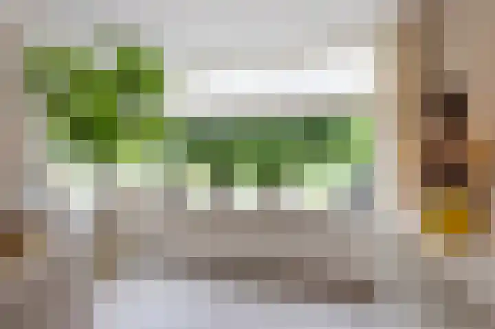 Het Garnizoen 3 Steenwijk thumbnail 11