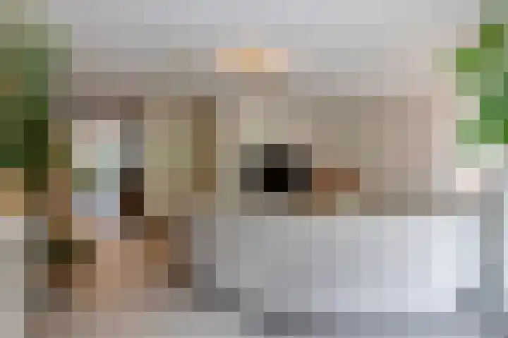 Het Garnizoen 3 Steenwijk thumbnail 14