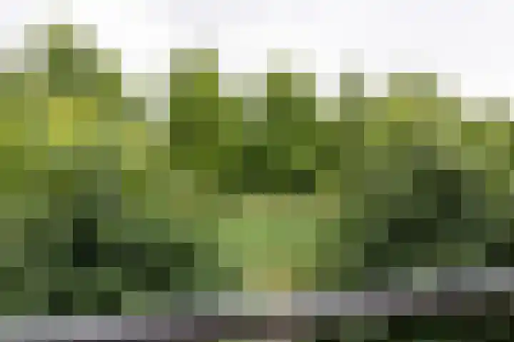 Het Garnizoen 3 Steenwijk thumbnail 40