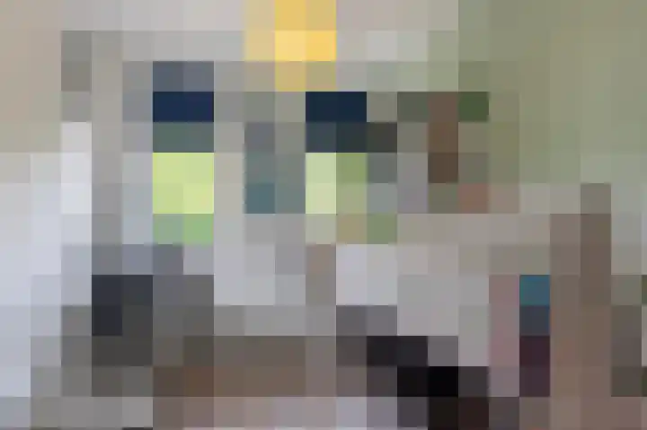 Het Garnizoen 3 Steenwijk thumbnail 41