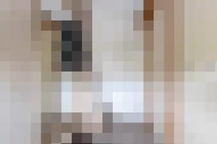 Het Garnizoen 3 Steenwijk thumbnail 44