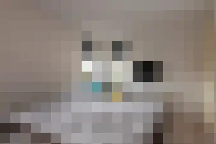 Het Garnizoen 3 Steenwijk thumbnail 45