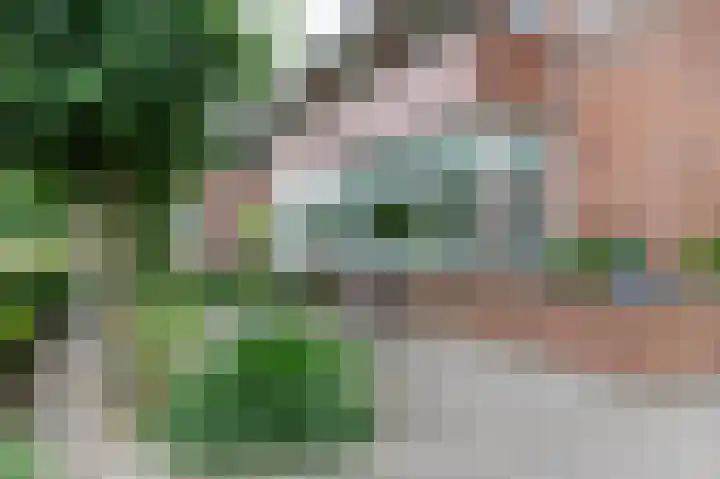 Het Garnizoen 3 Steenwijk thumbnail 5