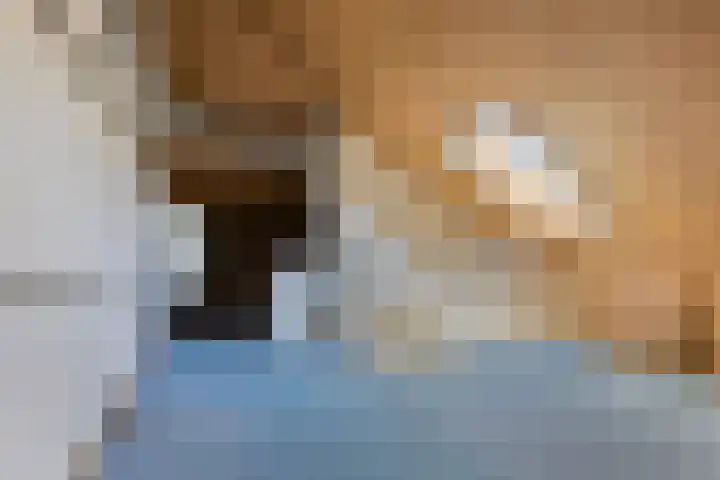 Het Garnizoen 7 Steenwijk thumbnail 33