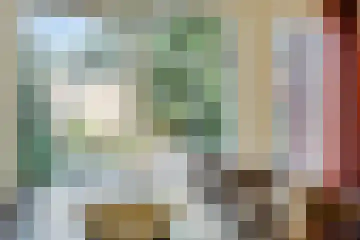 Het Gebient 12 Tolbert thumbnail 11