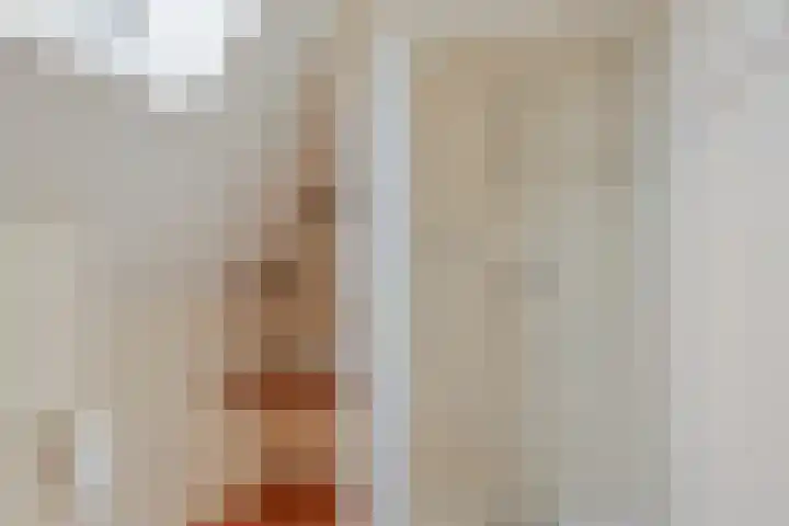 Het Gebient 12 Tolbert thumbnail 19