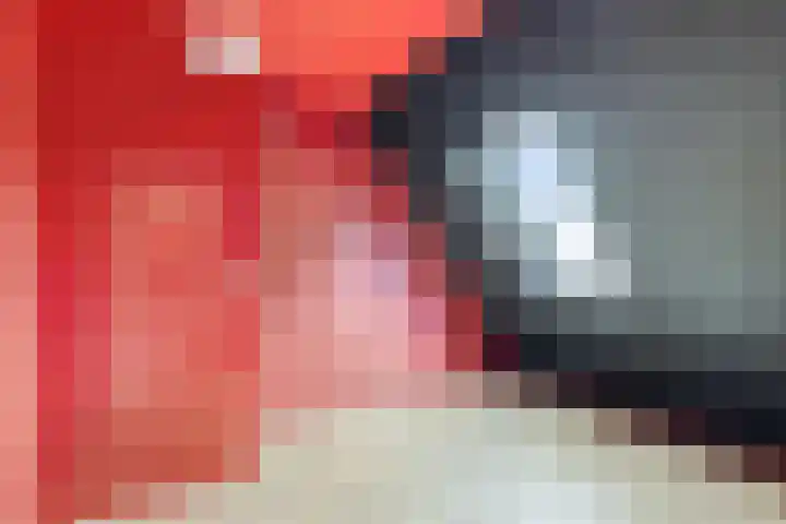 Het Gebient 12 Tolbert thumbnail 20