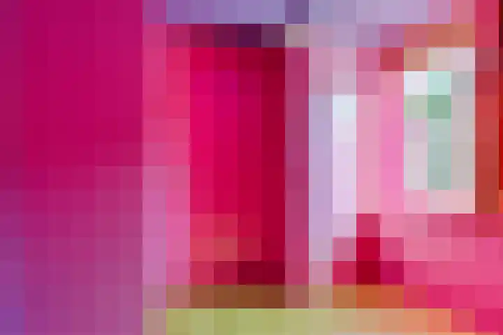 Het Gebient 12 Tolbert thumbnail 22