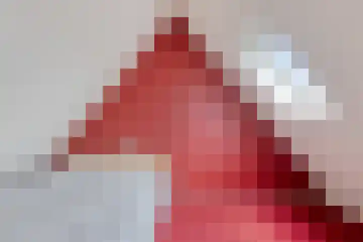Het Gebient 12 Tolbert thumbnail 24