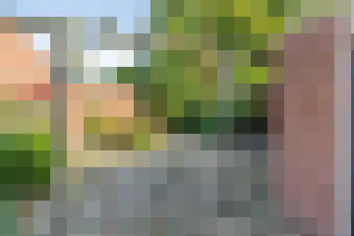 Het Gebient 12 Tolbert thumbnail 25