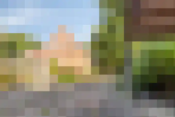 Het Gebient 12 Tolbert thumbnail 26