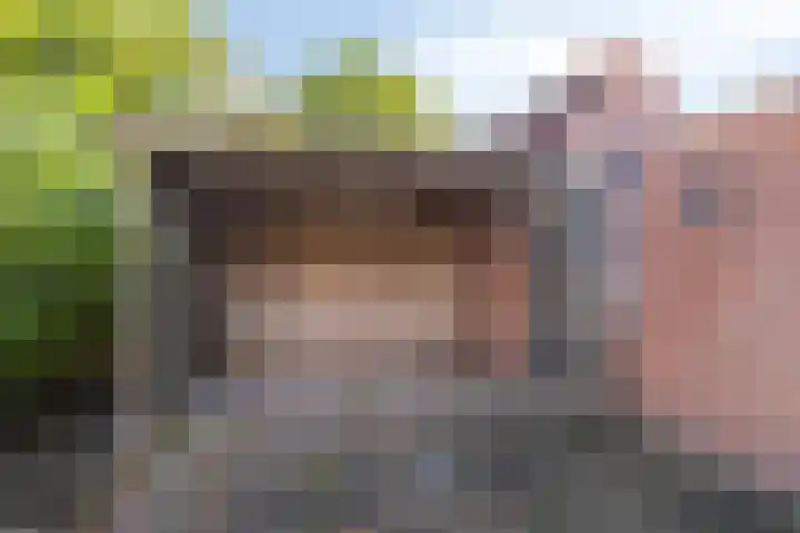 Het Gebient 12 Tolbert thumbnail 27
