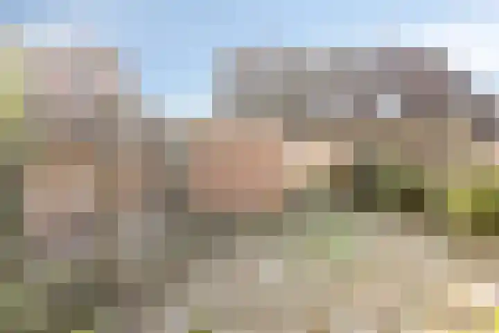 Het Gebient 12 Tolbert thumbnail 28