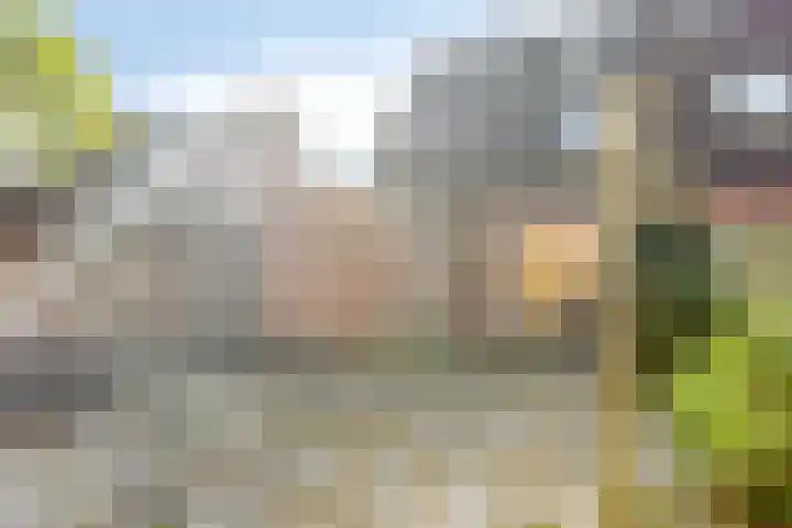 Het Gebient 12 Tolbert thumbnail 29