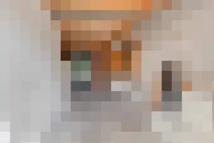 Het Gebient 12 Tolbert thumbnail 30