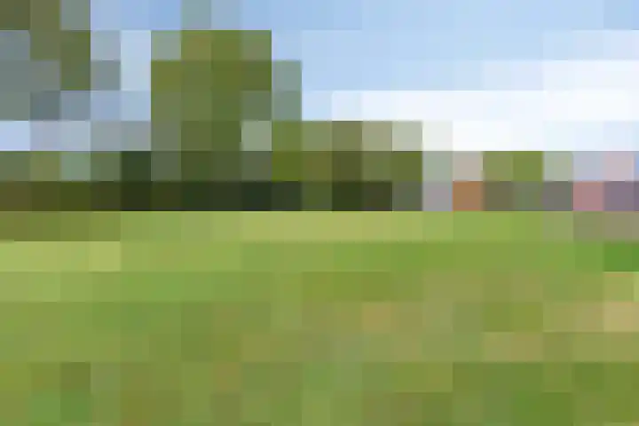 Het Gebient 12 Tolbert thumbnail 31