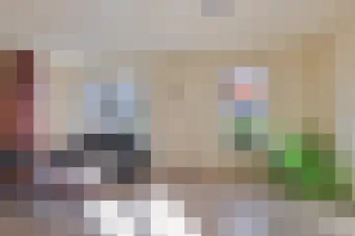 Het Gebient 12 Tolbert thumbnail 8