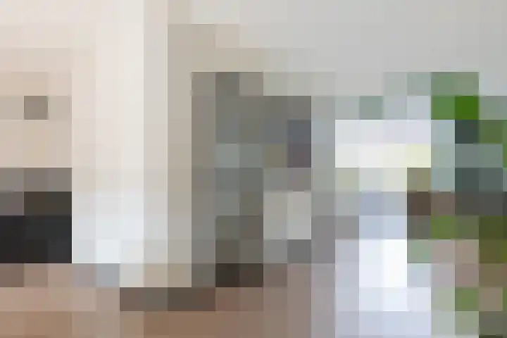 Het Gebint 12 Borger thumbnail 10