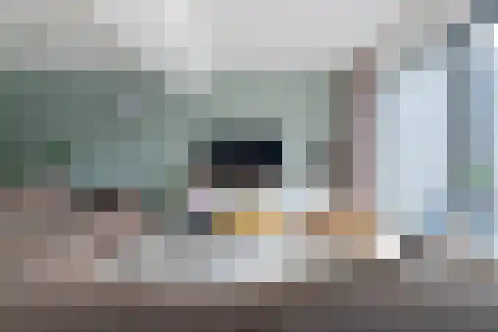 Het Gebint 12 Borger thumbnail 12