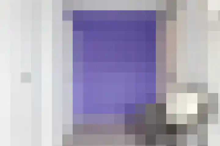 Het Gebint 12 Borger thumbnail 32