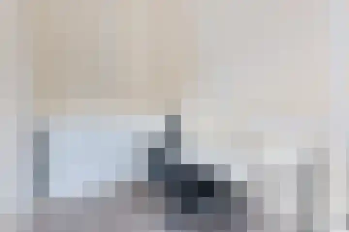 Het Gebint 12 Borger thumbnail 40