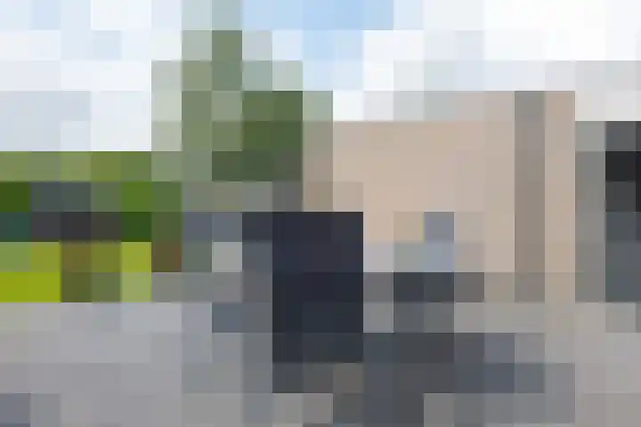 Het Gebint 12 Borger thumbnail 53