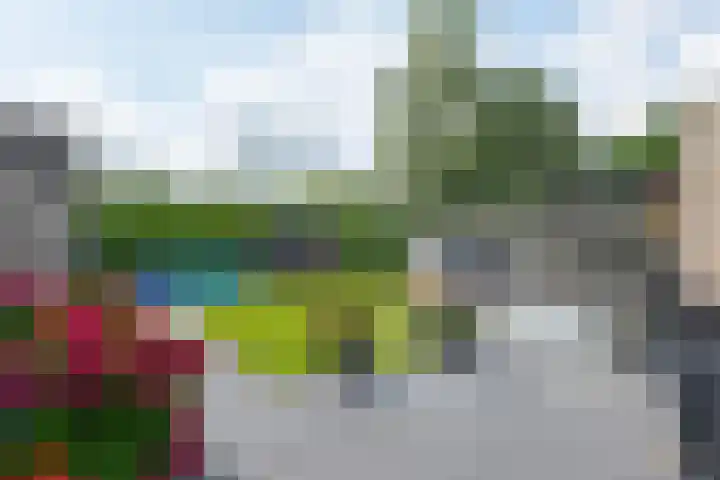 Het Gebint 12 Borger thumbnail 54