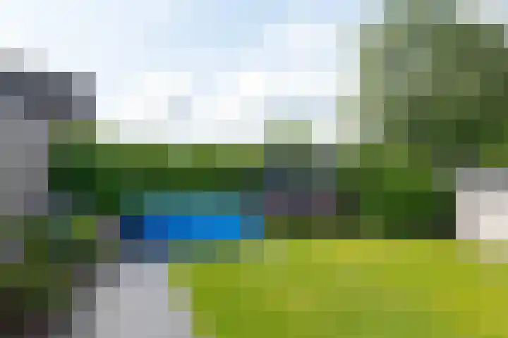 Het Gebint 12 Borger thumbnail 58