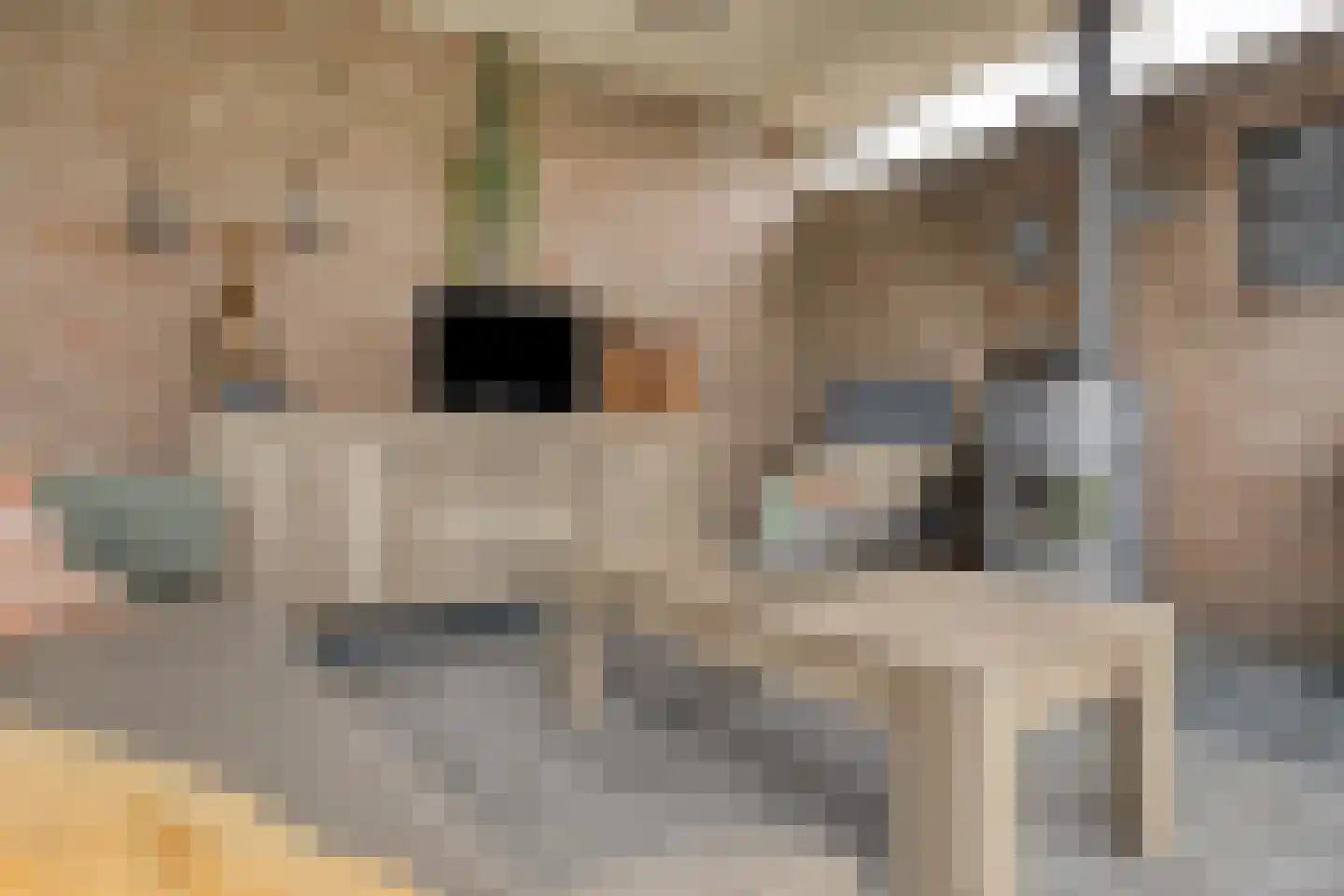 Het Geffens Veld 7 A Geffen thumbnail 23