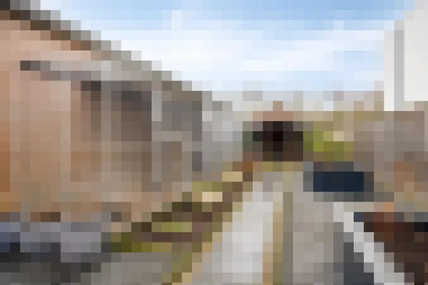 Het Geffens Veld 7 A Geffen thumbnail 42