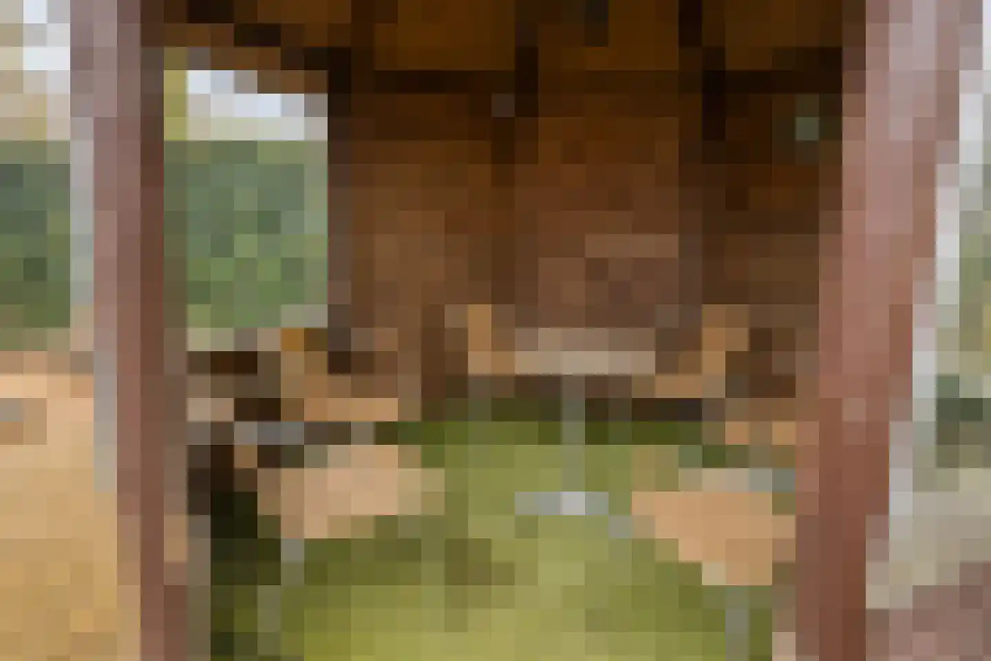 Het Geffens Veld 7 A Geffen thumbnail 45