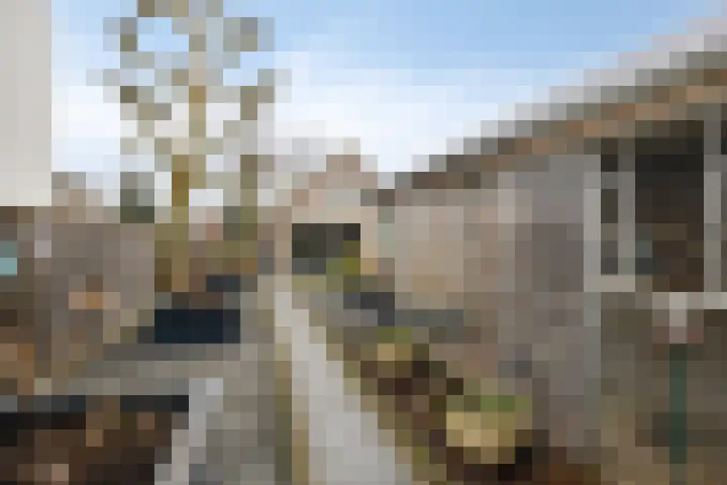 Het Geffens Veld 7 A Geffen thumbnail 46