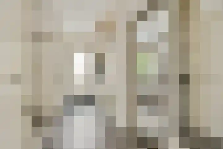 Het Gein 15 Beverwijk thumbnail 13