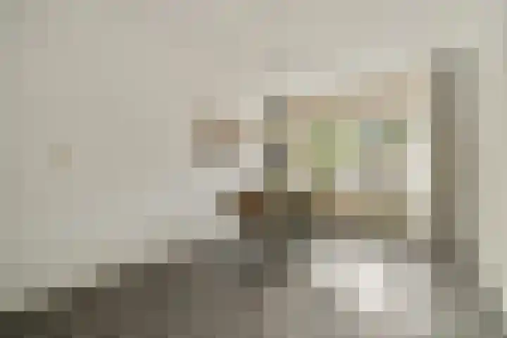 Het Gein 15 Beverwijk thumbnail 15