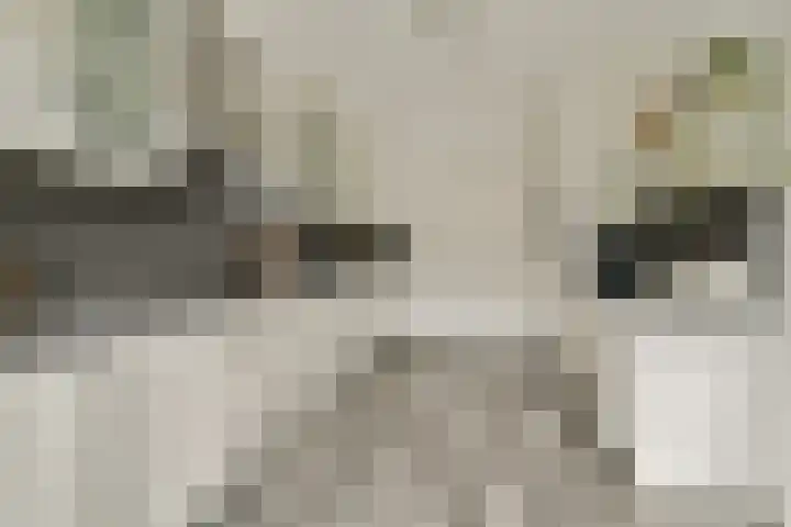 Het Gein 15 Beverwijk thumbnail 16