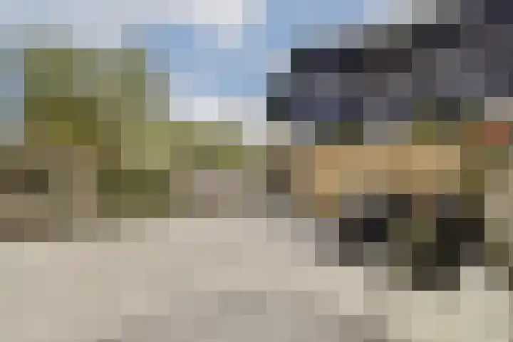 Het Gein 15 Beverwijk thumbnail 17