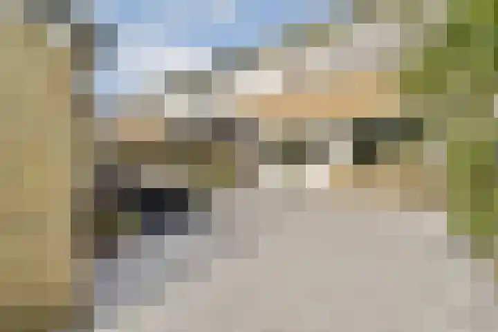 Het Gein 15 Beverwijk thumbnail 19