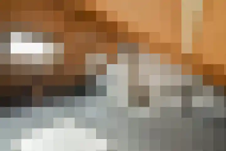 Het Gein 15 Beverwijk thumbnail 23
