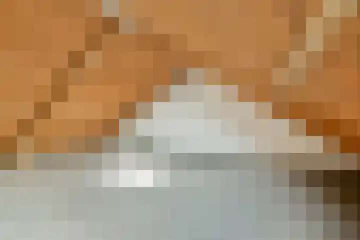 Het Gein 15 Beverwijk thumbnail 24