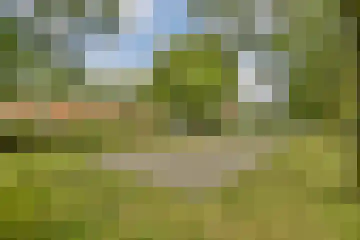 Het Gein 15 Beverwijk thumbnail 26