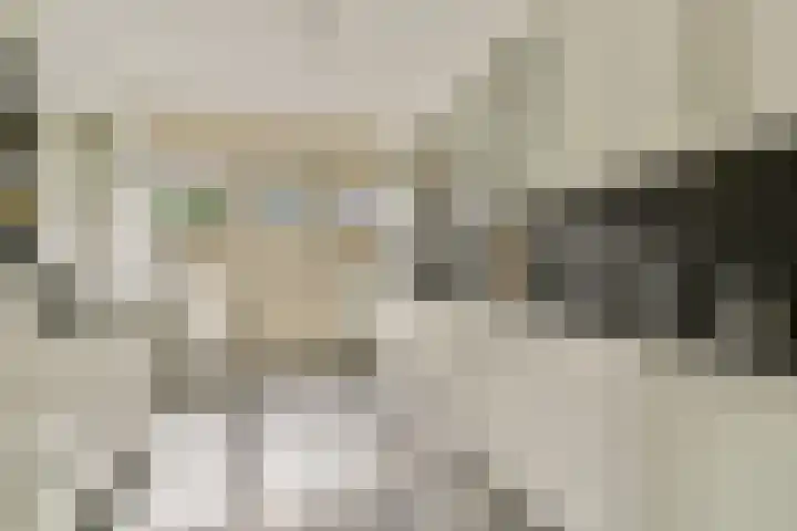 Het Gein 15 Beverwijk thumbnail 4