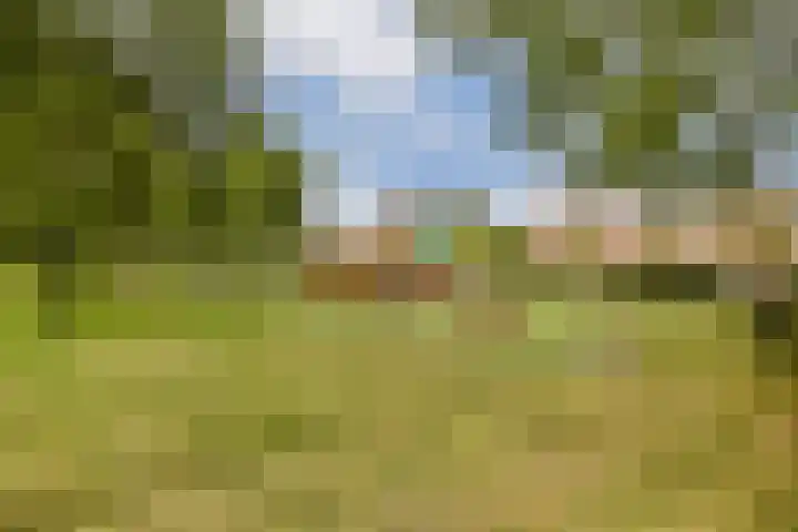 Het Gein 15 Beverwijk thumbnail 5