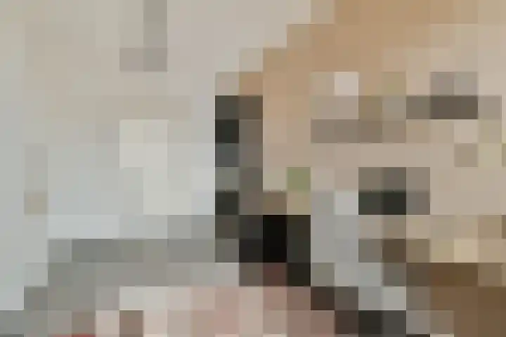 Het Gein 15 Beverwijk thumbnail 8