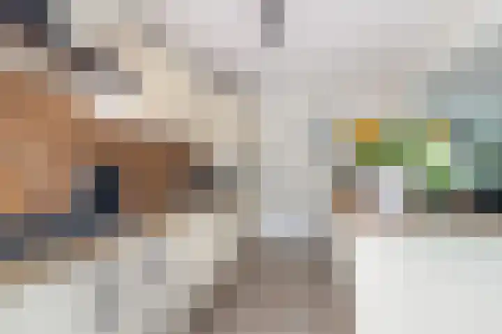 Het Gein 3 Beverwijk thumbnail 15