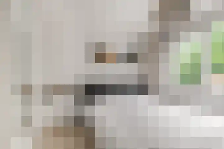 Het Gein 3 Beverwijk thumbnail 21